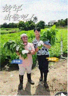 傻人影院幕后手记，同期声整理笔记
